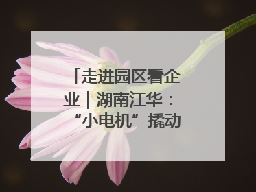 走进园区看企业｜湖南江华：“小电机”撬动“大产业”