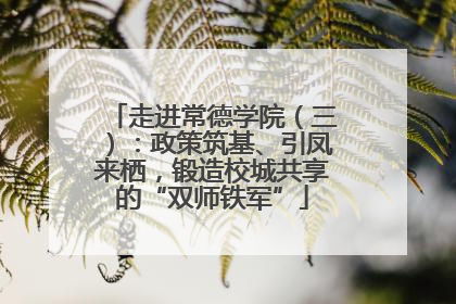 走进常德学院（三）：政策筑基、引凤来栖，锻造校城共享的“双师铁军”