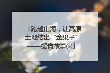 跨越山海，让高原土地结出“金果子”——援青故事②