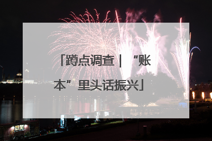 蹲点调查｜“账本”里头话振兴
