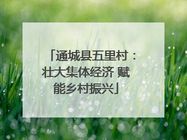 通城县五里村：壮大集体经济 赋能乡村振兴