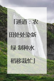 通道：农田处处染新绿 制种水稻移栽忙