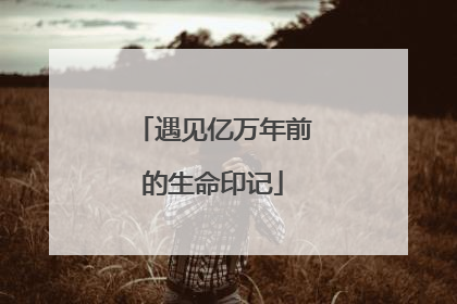 遇见亿万年前的生命印记