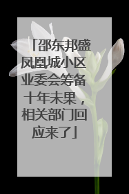 邵东邦盛凤凰城小区业委会筹备十年未果，相关部门回应来了