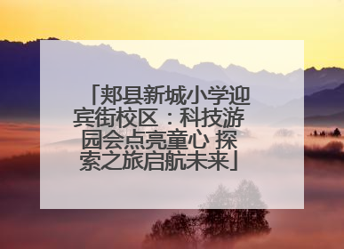 郏县新城小学迎宾街校区：科技游园会点亮童心 探索之旅启航未来