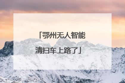 鄂州无人智能清扫车上路了