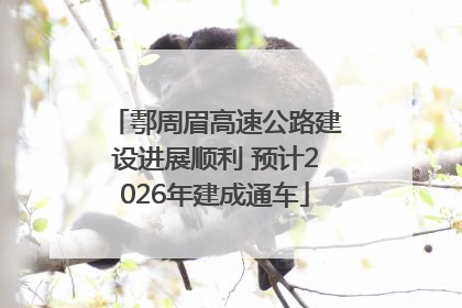 鄠周眉高速公路建设进展顺利 预计2026年建成通车