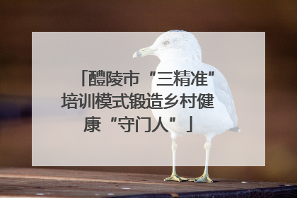 醴陵市“三精准”培训模式锻造乡村健康“守门人”