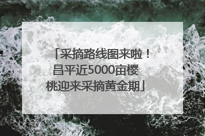 采摘路线图来啦！昌平近5000亩樱桃迎来采摘黄金期