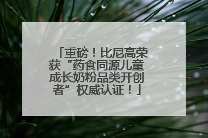 重磅！比尼高荣获“药食同源儿童成长奶粉品类开创者”权威认证！