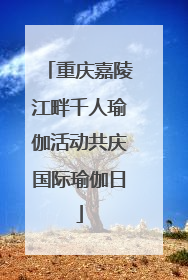 重庆嘉陵江畔千人瑜伽活动共庆国际瑜伽日