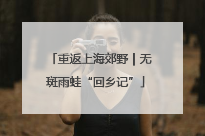 重返上海郊野｜无斑雨蛙“回乡记”