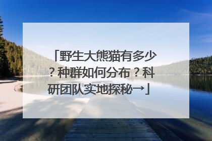 野生大熊猫有多少？种群如何分布？科研团队实地探秘→