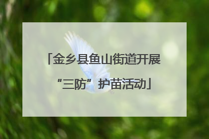 金乡县鱼山街道开展“三防”护苗活动