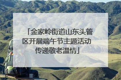 金家岭街道山东头管区开展端午节主题活动 传递敬老温情