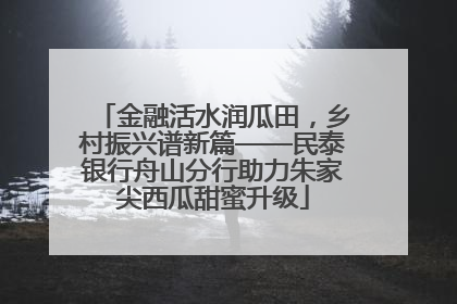 金融活水润瓜田,乡村振兴谱新篇——民泰银行舟山分行助力朱家尖西瓜甜蜜升级