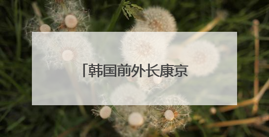 韩国前外长康京和：特朗普“对等关税”加速全球GDP缩减的趋势