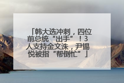 韩大选冲刺，四位前总统“出手”！3人支持金文洙，尹锡悦被指“帮倒忙”