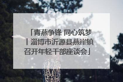 青燕争锋 同心筑梦丨淄博市沂源县燕崖镇召开年轻干部座谈会