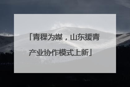 青稞为媒，山东援青产业协作模式上新