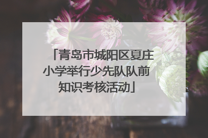 青岛市城阳区夏庄小学举行少先队队前知识考核活动