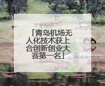 青岛机场无人化技术获上合创新创业大赛第一名
