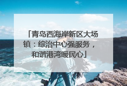 青岛西海岸新区大场镇：综治中心强服务，和谐港湾暖民心