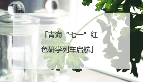 青海“七一”红色研学列车启航