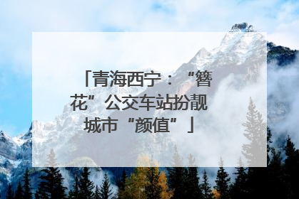 青海西宁：“簪花”公交车站扮靓城市“颜值”