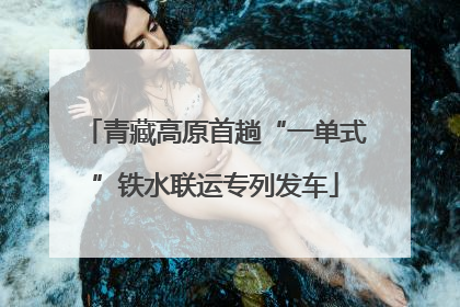 青藏高原首趟“一单式”铁水联运专列发车