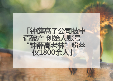 钟薛高子公司被申请破产 创始人账号“钟薛高老林”粉丝仅1800余人