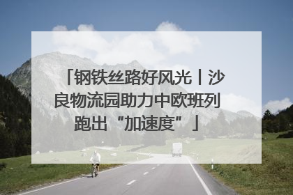 钢铁丝路好风光丨沙良物流园助力中欧班列跑出“加速度”