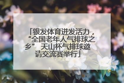 银发体育迸发活力，“全国老年人气排球之乡” 天山杯气排球邀请交流赛举行