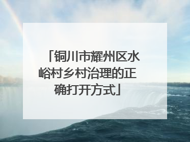 铜川市耀州区水峪村乡村治理的正确打开方式