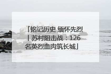 铭记历史 缅怀先烈丨苏村阻击战：126名英烈血肉筑长城