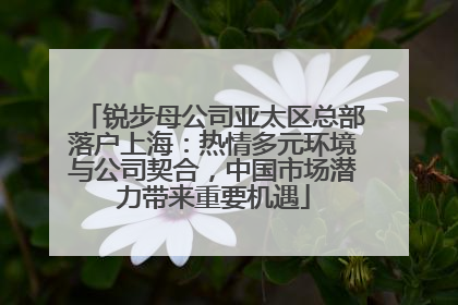 锐步母公司亚太区总部落户上海：热情多元环境与公司契合，中国市场潜力带来重要机遇