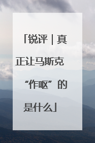 锐评｜真正让马斯克“作呕”的是什么