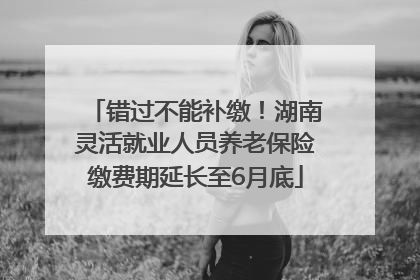 错过不能补缴！湖南灵活就业人员养老保险缴费期延长至6月底
