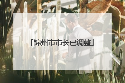 锦州市市长已调整