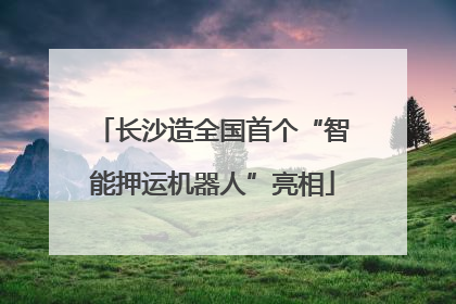 长沙造全国首个“智能押运机器人”亮相