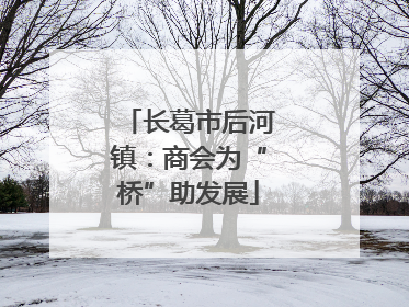 长葛市后河镇：商会为“桥”助发展