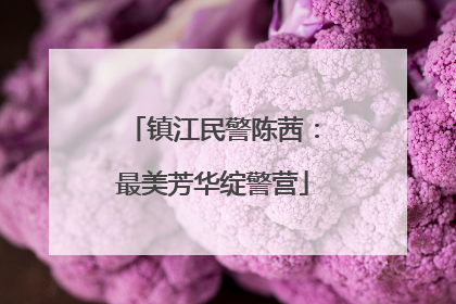 镇江民警陈茜：最美芳华绽警营
