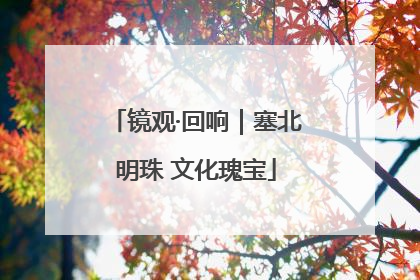 镜观·回响｜塞北明珠 文化瑰宝
