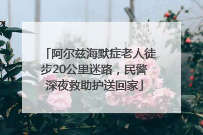 阿尔兹海默症老人徒步20公里迷路，民警深夜救助护送回家