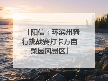 阳信：环滨州骑行挑战赛打卡万亩梨园风景区