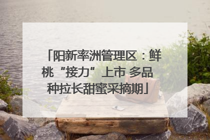 阳新率洲管理区：鲜桃“接力”上市 多品种拉长甜蜜采摘期