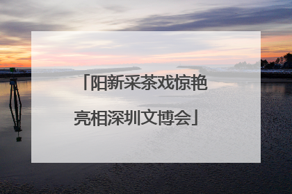 阳新采茶戏惊艳亮相深圳文博会