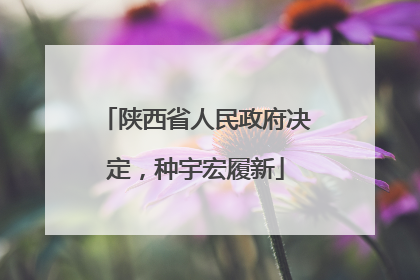 陕西省人民政府决定，种宇宏履新