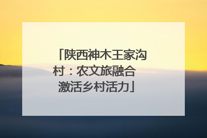 陕西神木王家沟村：农文旅融合 激活乡村活力