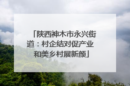 陕西神木市永兴街道：村企结对促产业 和美乡村展新颜